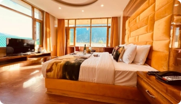 Presidential Suite — 377 SQFT